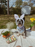 Easter Is For Frenchies Reversible Snap On Bandana