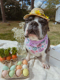 Retro Easter Frenchies Snap On Reversible Bandana