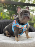 Wanderlust Frenchie Step In Harness