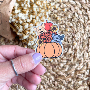 Frenchie Pumpkins Single Sticker