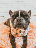 Frenchie Fine-Apple Reversible Snap On Bandana