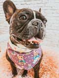 Frenchies + Coffee Is Life Reversible Snap On Bandana