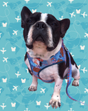 Wanderlust Frenchie Step In Harness