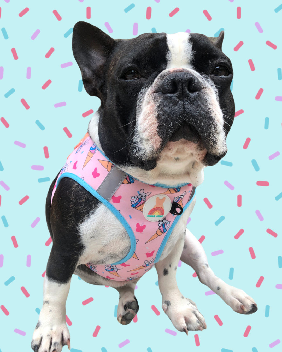 Frenchie brand harness sale