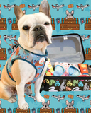 Wanderlust Frenchie Step In Harness