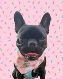 Pink Scoop Of Frenchies Reversible Snap On Bandana