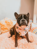 Sweet Like Frenchies Reversible Snap On Bandana